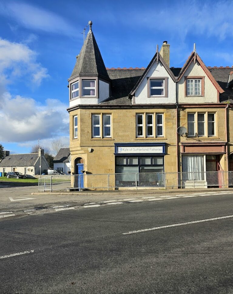 business image 0 218 768x968