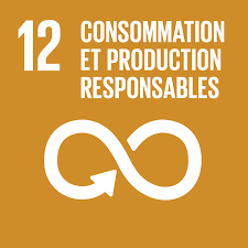 SDG 12 logo
